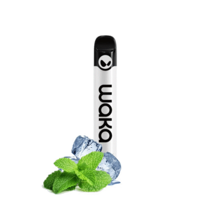 waka 2500 puffs Fresh Mint