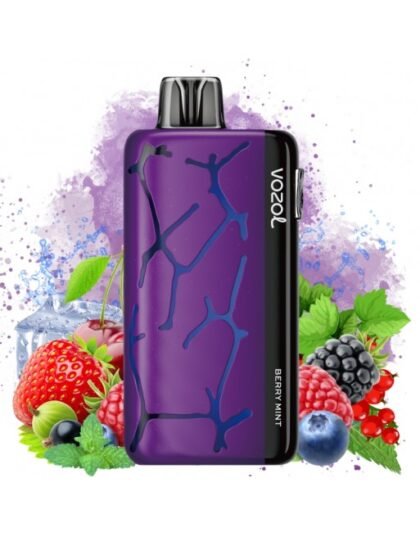 berry-mint-vozol-neon-45k